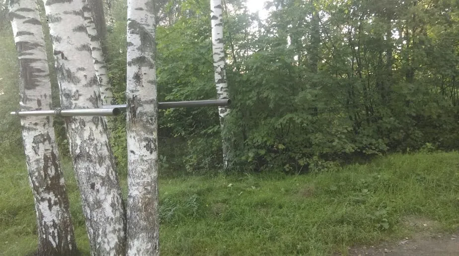 Klimmzugstange bei Calisthenics Park at Ласточкин проезд, Балашиха – Foto 3 von 3