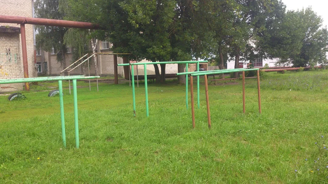 Шведська стінка на майданчику Calisthenics Park at Интернациональная улица, Шацк – фото 4 з 4
