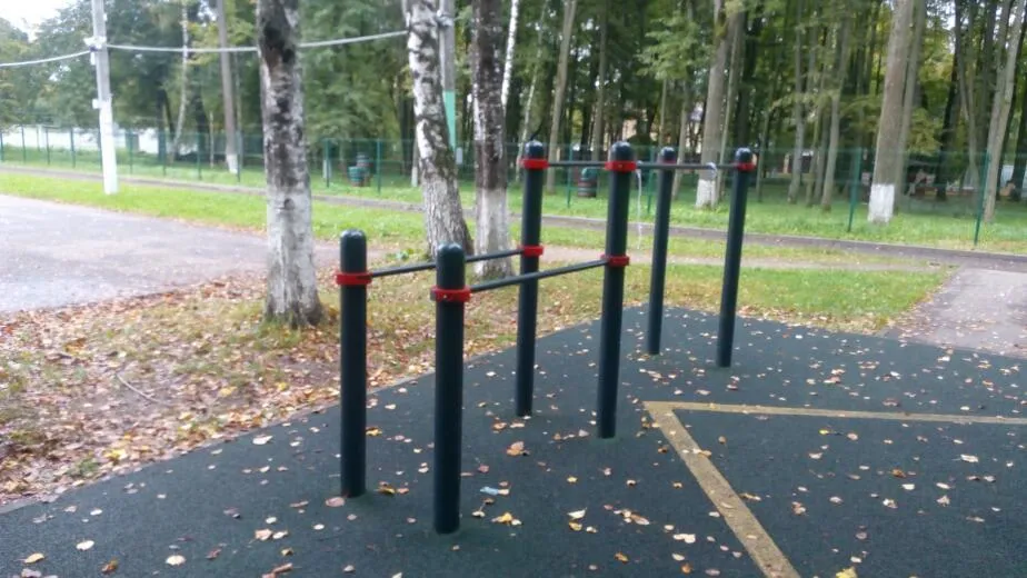 Monkey Bars at Calisthenics Park at улица Парк Воровского, Наро-Фоминск – photo 3 of 3