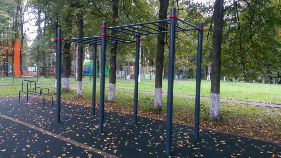 Parallel Gym Bars at Calisthenics Park at улица Парк Воровского, Наро-Фоминск – photo 2 of 3