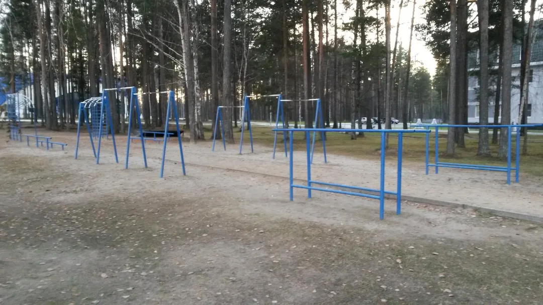 Parallel Gym Bars at Calisthenics Park at улица Гастелло, городской округ Югорск – photo 2 of 2