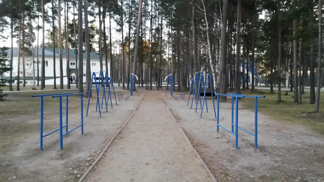 Pull Up Bar at Calisthenics Park at улица Гастелло, городской округ Югорск – photo 1 of 2