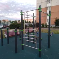 Calisthenics Park at Ленинский проспект, Санкт-Петербург #wp2449 - thumbnail 1