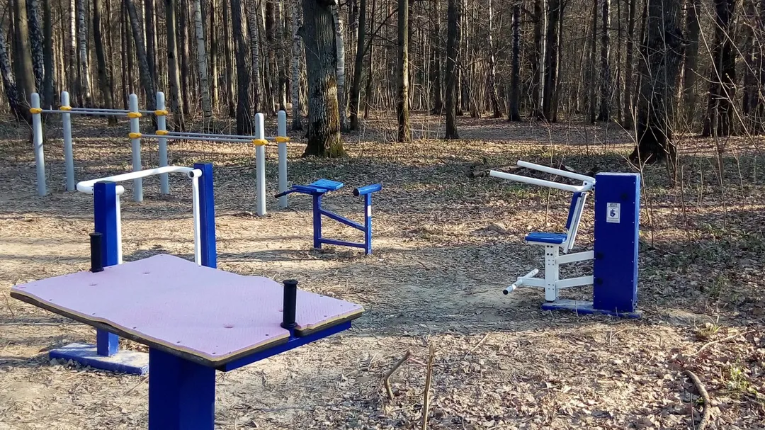 Air Walker la Calisthenics Park at Кордодром, Москва – fotografia 5 din 5