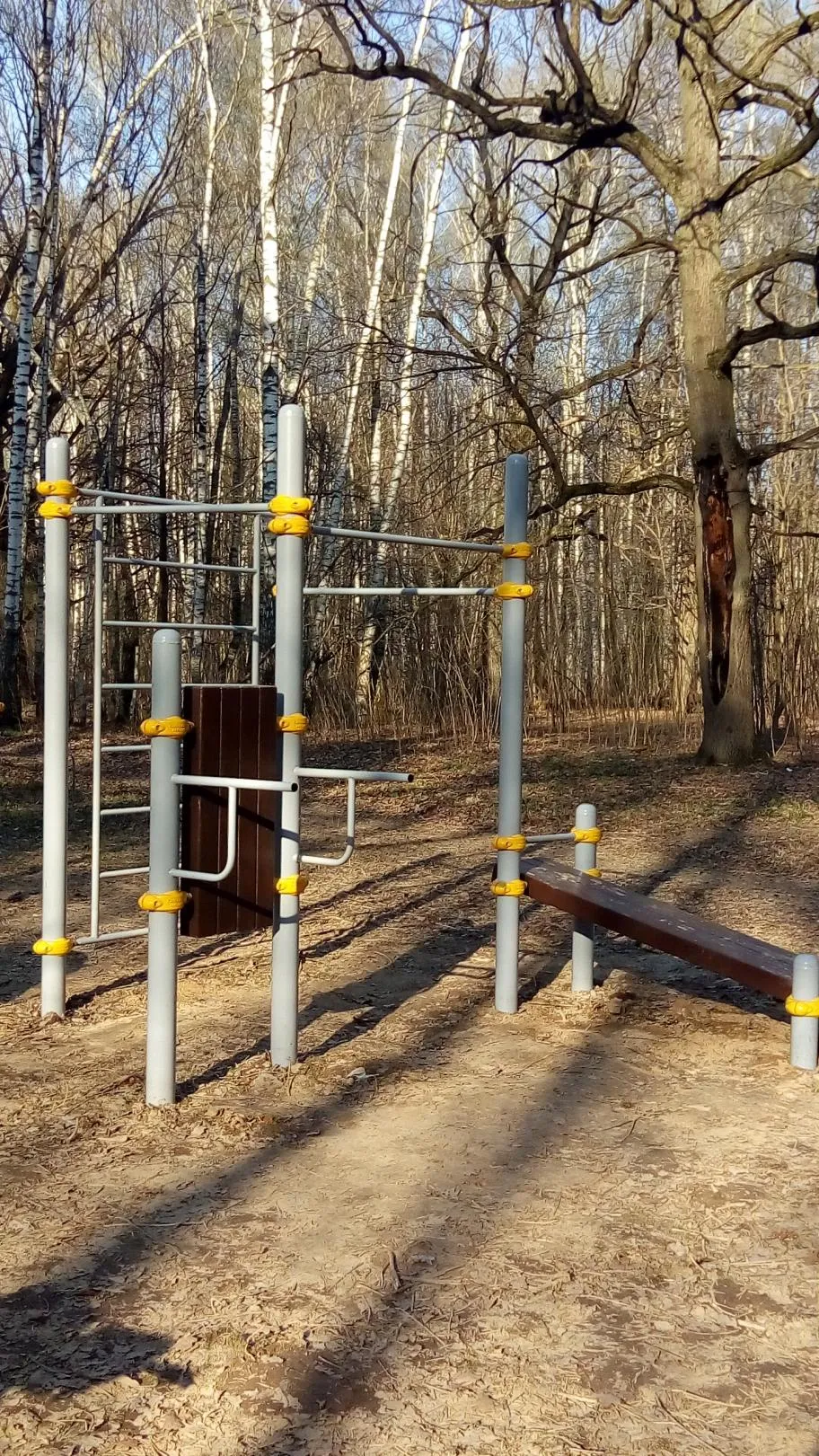 Bare paralele la Calisthenics Park at Кордодром, Москва – fotografia 2 din 5