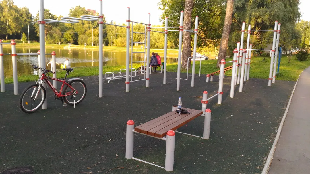 Турнік на майданчику Calisthenics Park at улица Гоголя, Зеленоград – фото 1 з 1