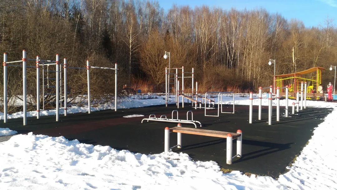 Турнік на майданчику Calisthenics Park at Филаретовская улица, Зеленоград – фото 1 з 1