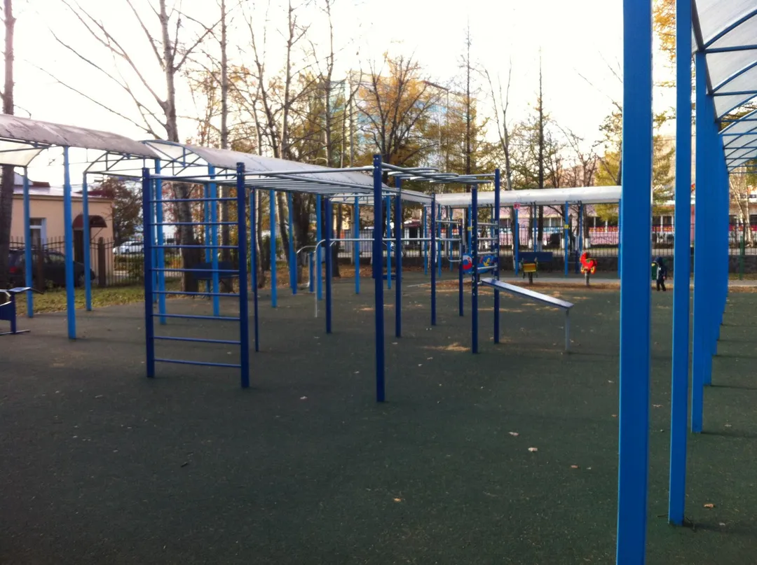 Брусья на площадке Calisthenics Park at улица Ленина, Елизово – фото 2 из 4