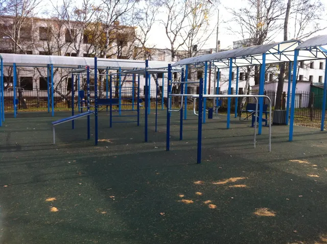 Calisthenics Park at улица Ленина, Елизово