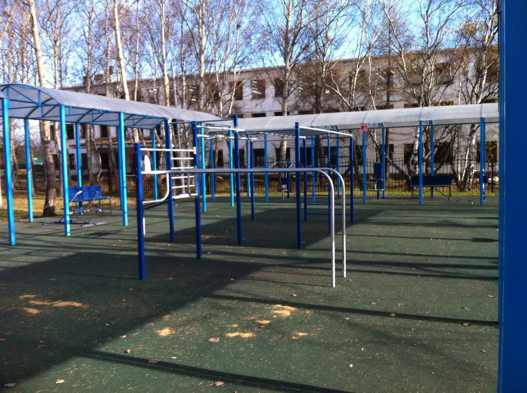 Шведская стенка на площадке Calisthenics Park at улица Ленина, Елизово – фото 4 из 4