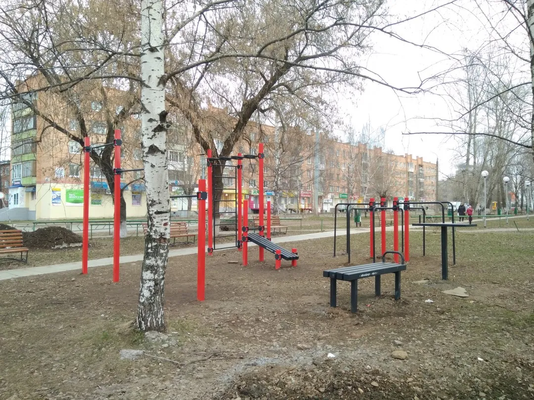 Wall Bars at Calisthenics Park at Клубная улица, городской округ Ижевск – photo 3 of 4
