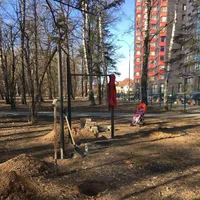 Calisthenics Park at Лесная улица, Подолино - thumbnail 3