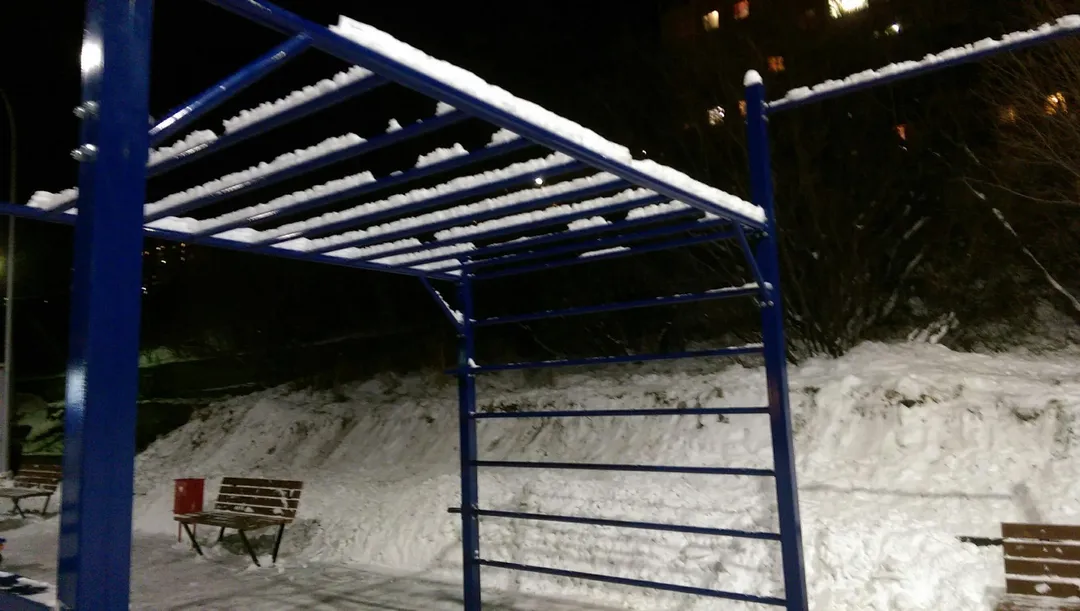 Wall Bars at Calisthenics Park at Северный проезд, Мурманск – photo 4 of 5