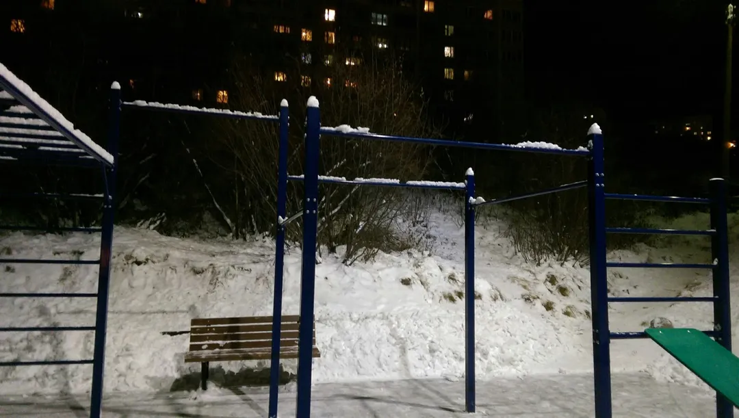 Parallel Gym Bars at Calisthenics Park at Северный проезд, Мурманск – photo 2 of 5