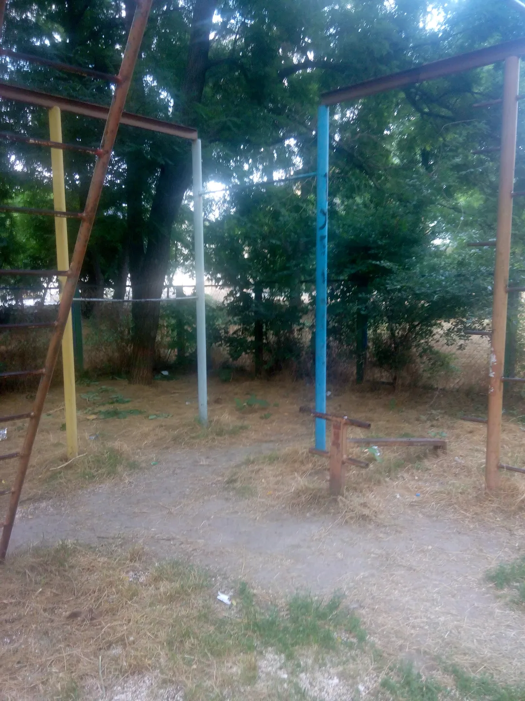 Barras de Mono en Calisthenics Park at Кордонний провулок, Одеса – foto 3 de 3