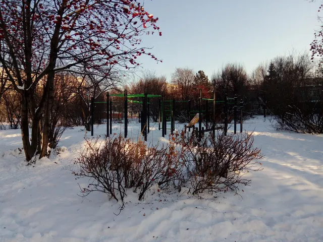 Calisthenics Park at улица Марковцева, Кемерово