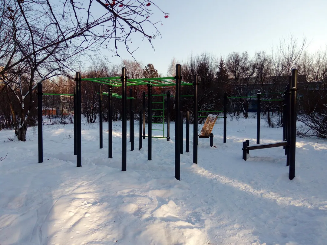 Monkey bar presso Calisthenics Park at улица Марковцева, Кемерово – foto 2 di 4