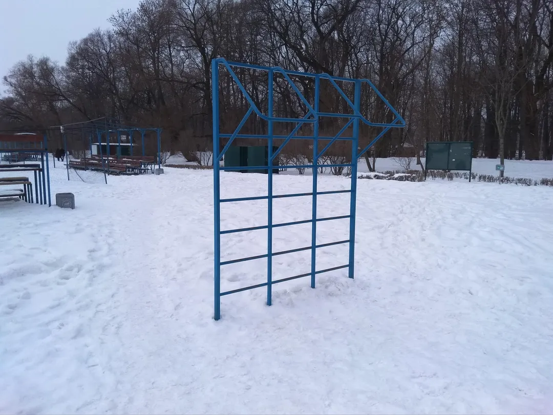 Spalliera presso Calisthenics Park at набережная Мартынова, Санкт-Петербург – foto 4 di 5