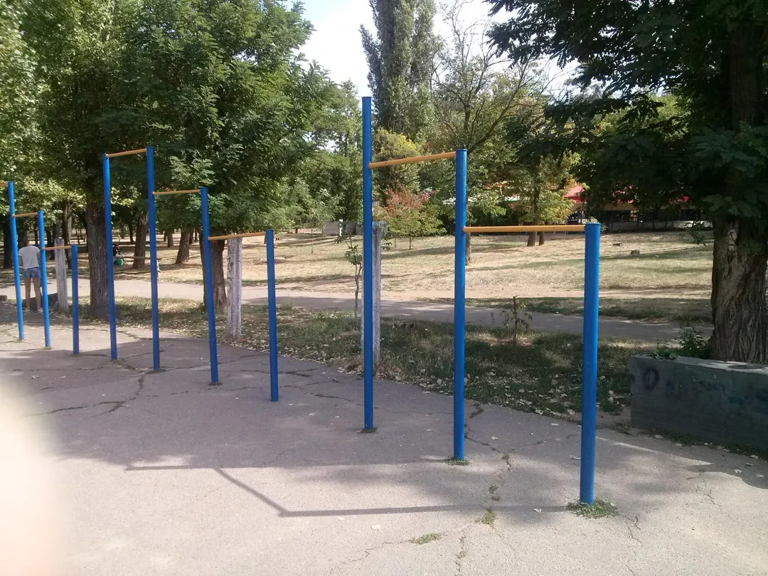 Barres de singe à Calisthenics Park at Південний провулок, Миколаїв – photo 4 sur 6