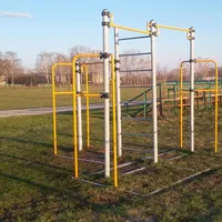 Calisthenics Park at улица Денисова, Старожилово - thumbnail 3