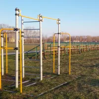 Calisthenics Park at улица Денисова, Старожилово - thumbnail 2