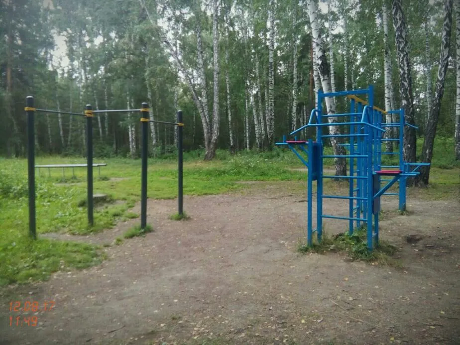 Турник на площадке Calisthenics Park at Лыжня, Верхняя Пышма – фото 5 из 5