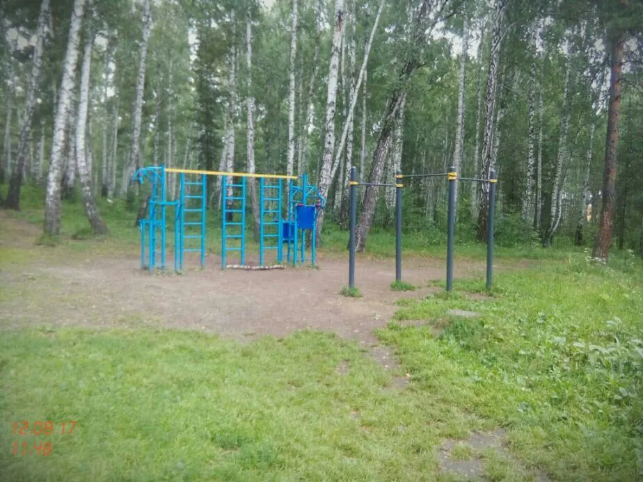 Низкие брусья на площадке Calisthenics Park at Лыжня, Верхняя Пышма – фото 3 из 5