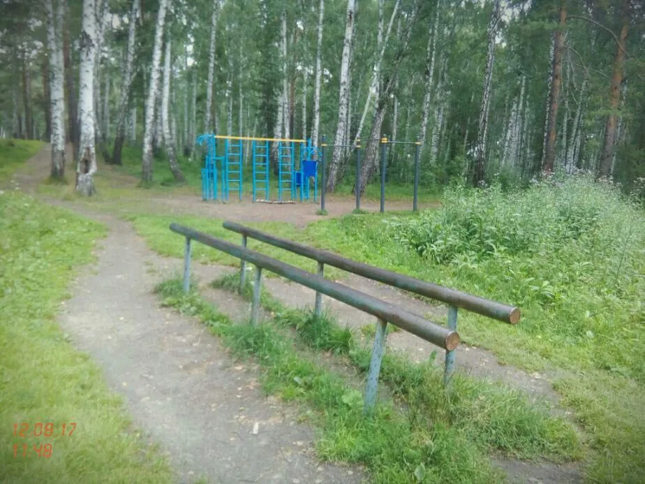 Шведская стенка на площадке Calisthenics Park at Лыжня, Верхняя Пышма – фото 4 из 5