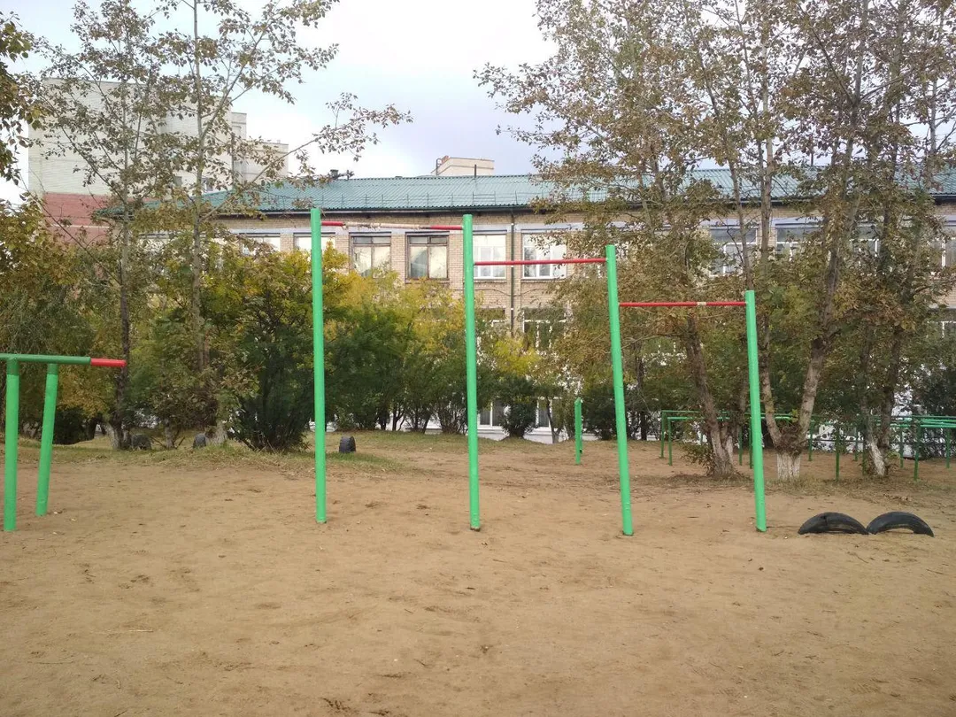 Maniglie per piegamenti presso Calisthenics Park at Белорусская улица, Чита – foto 5 di 6