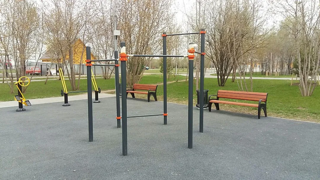 Bară de flotări la Calisthenics Park at улица Марьинский Парк, Москва #wp2501 – fotografia 5 din 13