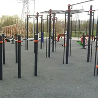 Calisthenics Park at улица Марьинский Парк, Москва #wp2501 - thumbnail 3