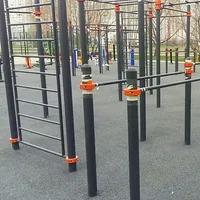 Calisthenics Park at улица Марьинский Парк, Москва #wp2501 - thumbnail 4