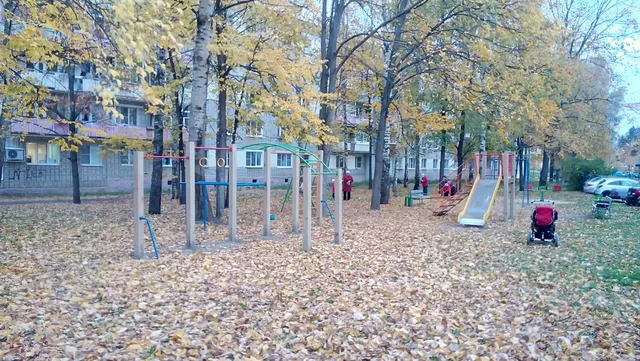Calisthenics Park at улица Красные Зори, Выкса