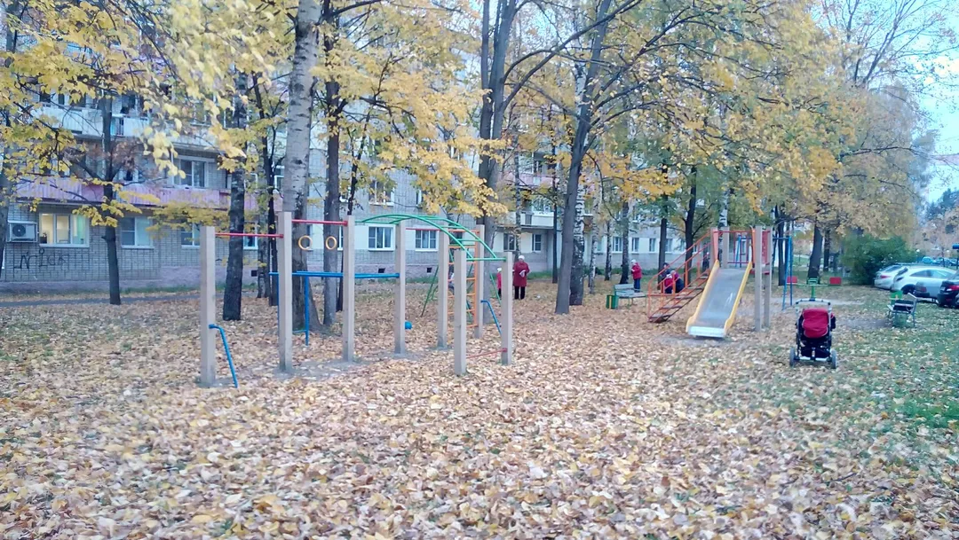 Klimmzugstange bei Calisthenics Park at улица Красные Зори, Выкса – Foto 1 von 3