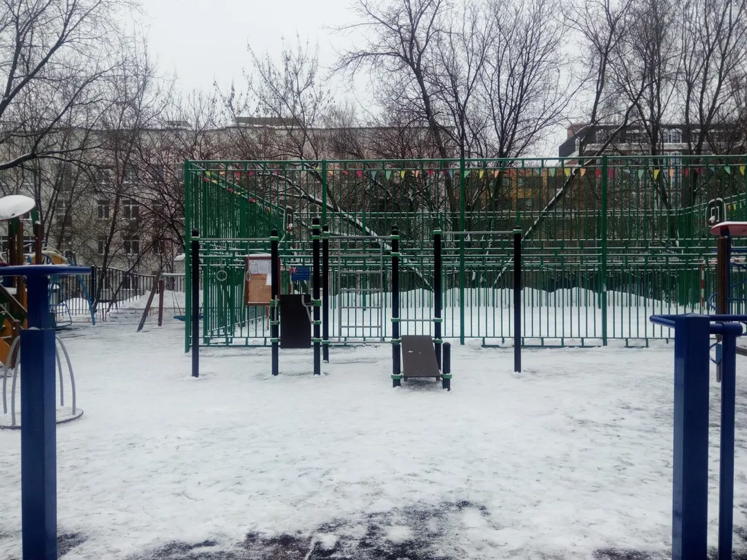 Bară de tracțiuni la Calisthenics Park at Ольховская улица, Москва – fotografia 1 din 6