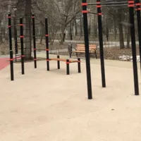 Calisthenics Park at 3-я Песчаная улица, Москва #wp2507 - thumbnail 1