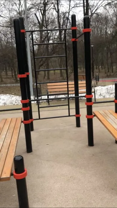 Шведська стінка на майданчику Calisthenics Park at 3-я Песчаная улица, Москва #wp2507 – фото 3 з 6