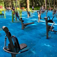 Calisthenics Park at улица Удальцова, Москва #wp2508 - thumbnail 5