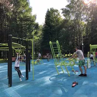Calisthenics Park at улица Удальцова, Москва #wp2508 - thumbnail 4