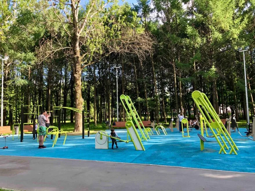 Лижний тренажер на майданчику Calisthenics Park at улица Удальцова, Москва #wp2508 – фото 6 з 6