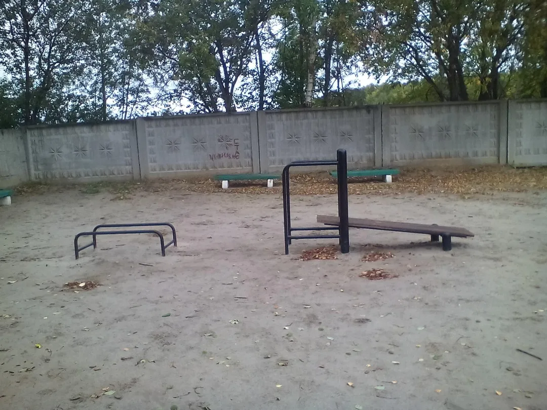Monkey Bars at Calisthenics Park at Беговая дорожка 5 км., Озёрский городской округ – photo 3 of 6
