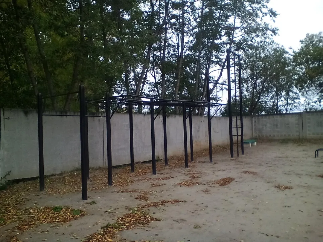 Wall Bars at Calisthenics Park at Беговая дорожка 5 км., Озёрский городской округ – photo 4 of 6