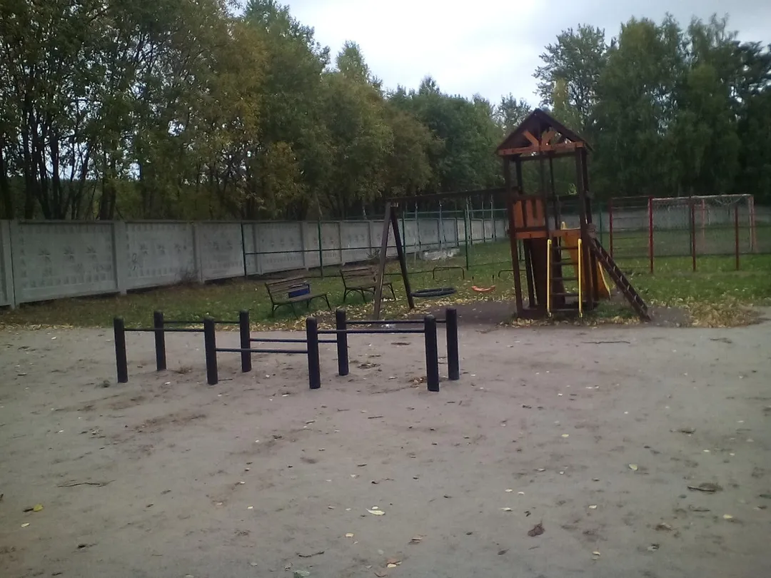 Abs Bench at Calisthenics Park at Беговая дорожка 5 км., Озёрский городской округ – photo 5 of 6