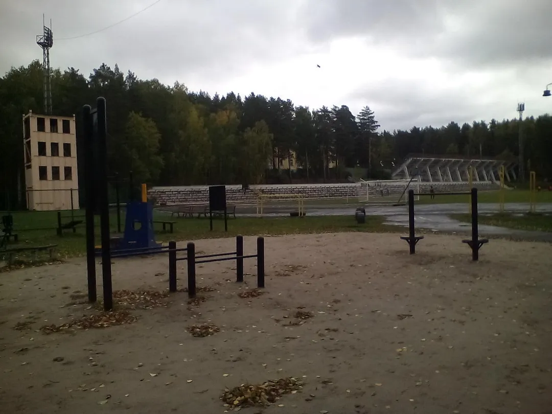 Parallel Gym Bars at Calisthenics Park at Беговая дорожка 5 км., Озёрский городской округ – photo 2 of 6