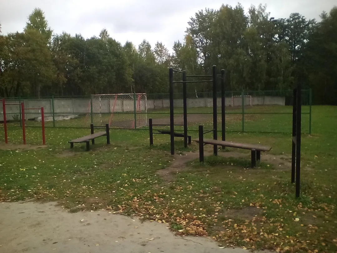 Pull Up Bar at Calisthenics Park at Беговая дорожка 5 км., Озёрский городской округ – photo 1 of 6