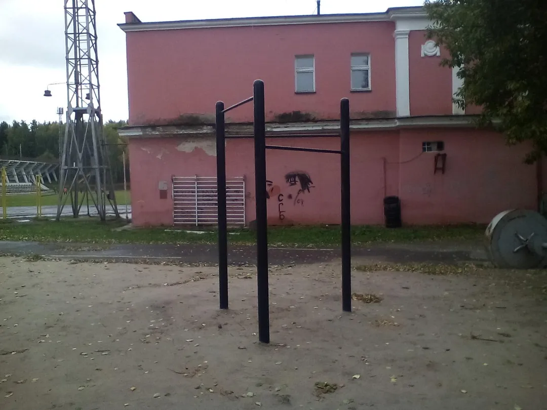 Gymnastic Rings at Calisthenics Park at Беговая дорожка 5 км., Озёрский городской округ – photo 6 of 6