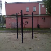 Calisthenics Park at Беговая дорожка 5 км., Озёрский городской округ - thumbnail 6