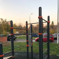 Calisthenics Park at Щёлковское шоссе (дублёр), Москва - thumbnail 1