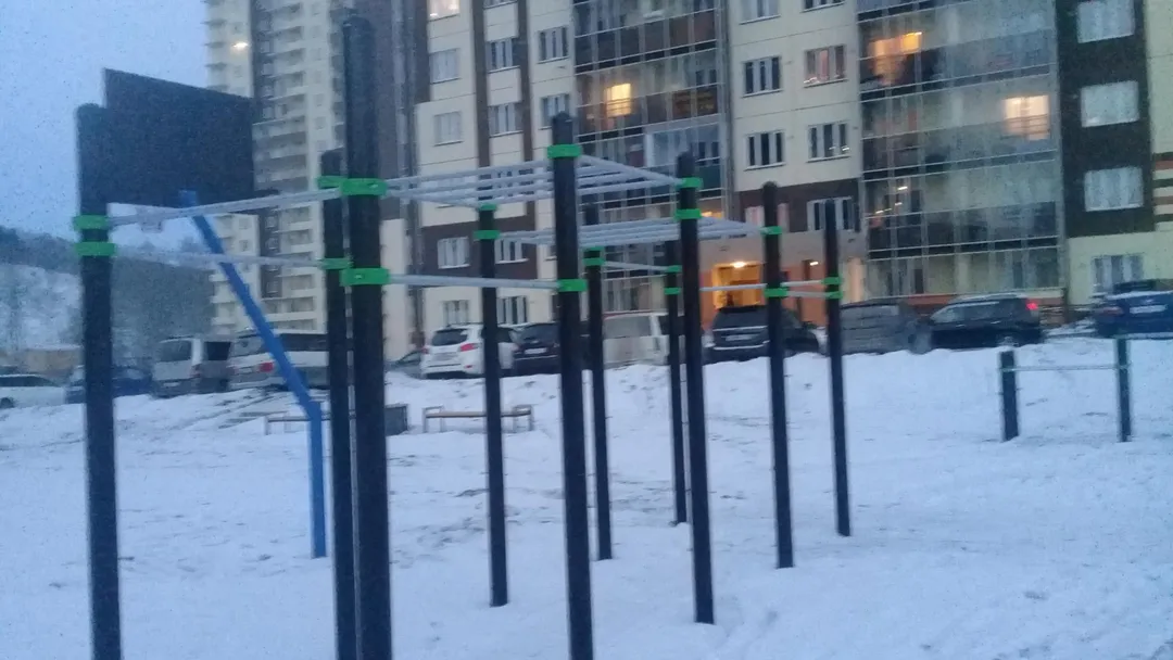 Spalier la Calisthenics Park at Заречная улица, городской округ Новосибирск – fotografia 5 din 5