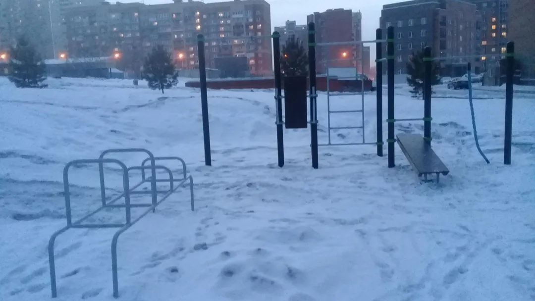 Bare paralele la Calisthenics Park at Заречная улица, городской округ Новосибирск – fotografia 3 din 5